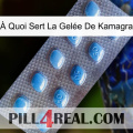 À Quoi Sert La Gelée De Kamagra viagra3
